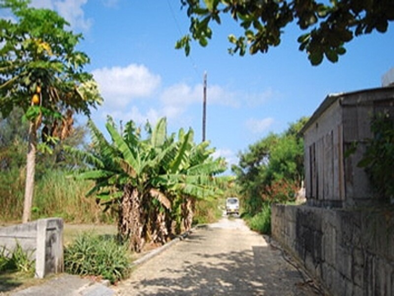 集落に一歩足を踏み入れると、こんな沖縄の離島の景色が広がります