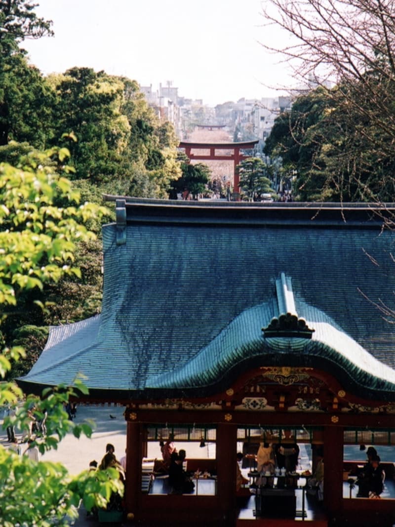 鶴岡八幡宮から望む若宮大路、鎌倉のまちなみ