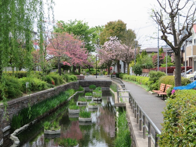 見沼代親水公園