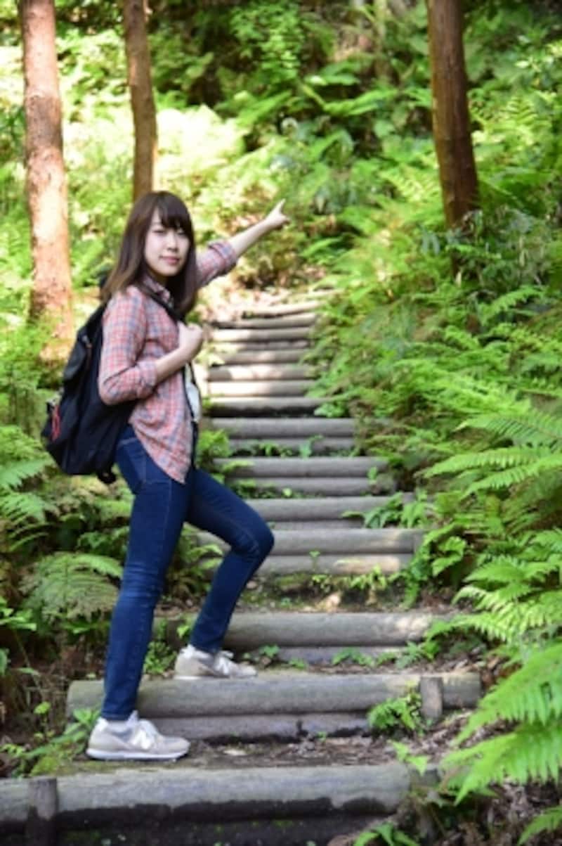 いよいよ、ここからハイキングコースがスタート！