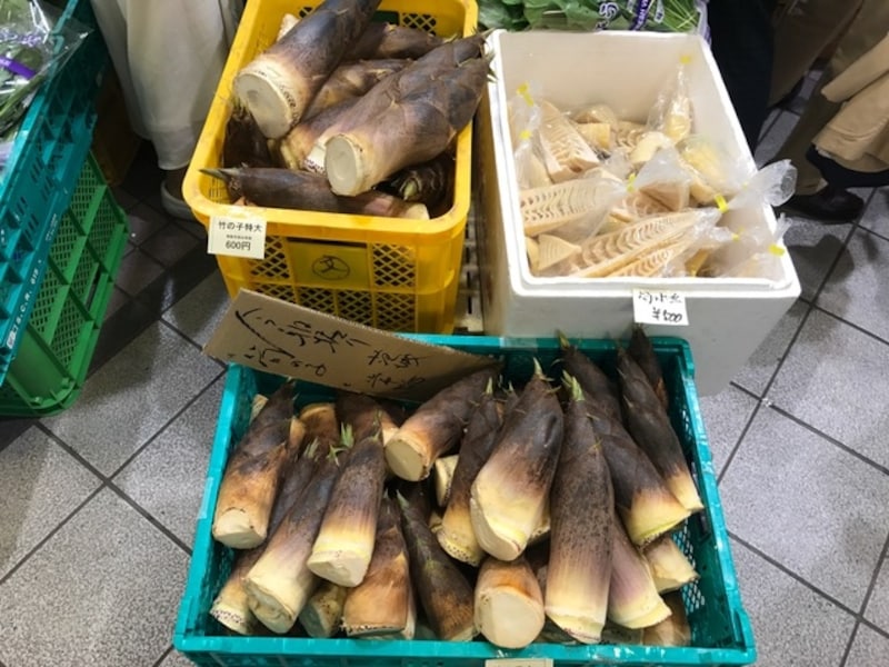 朝堀りのタケノコ。鮮度抜群！