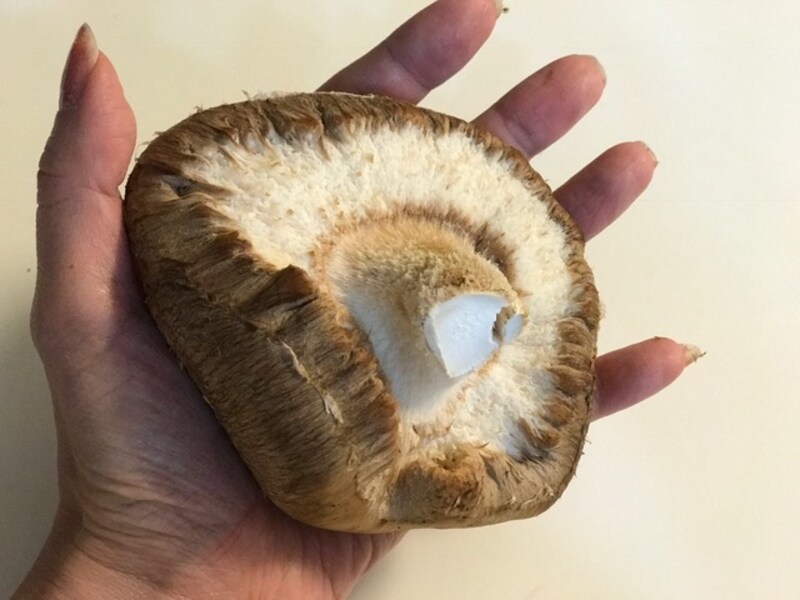 「肉厚で大きくておいしい」と大人気、徳島県産しいたけ