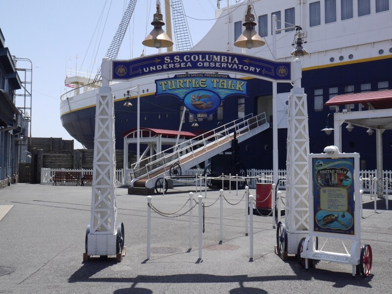 新生「タートル・トーク」はアメリカンウォーターフロントに。場所は変わりません