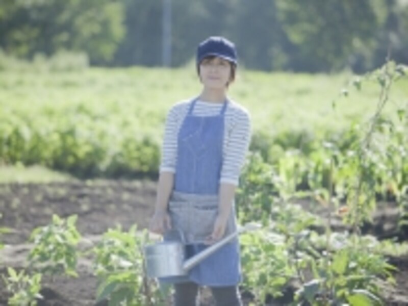 農作業している女性