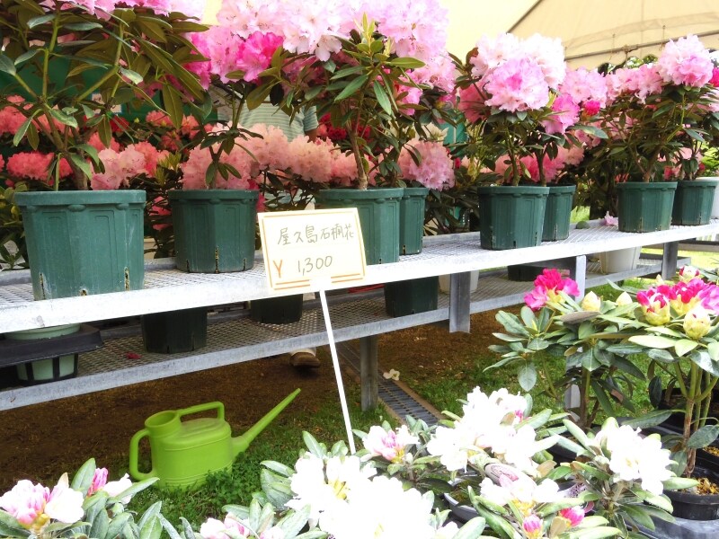 売店