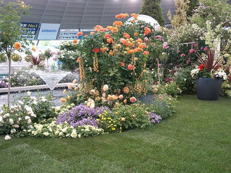 ウェルカムガーデンのローズファウンテンを横から