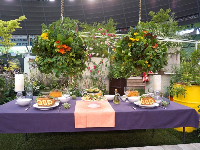 レミ・アン・ローズ