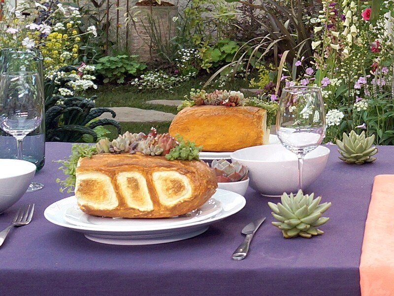 多肉のバゲットサンド