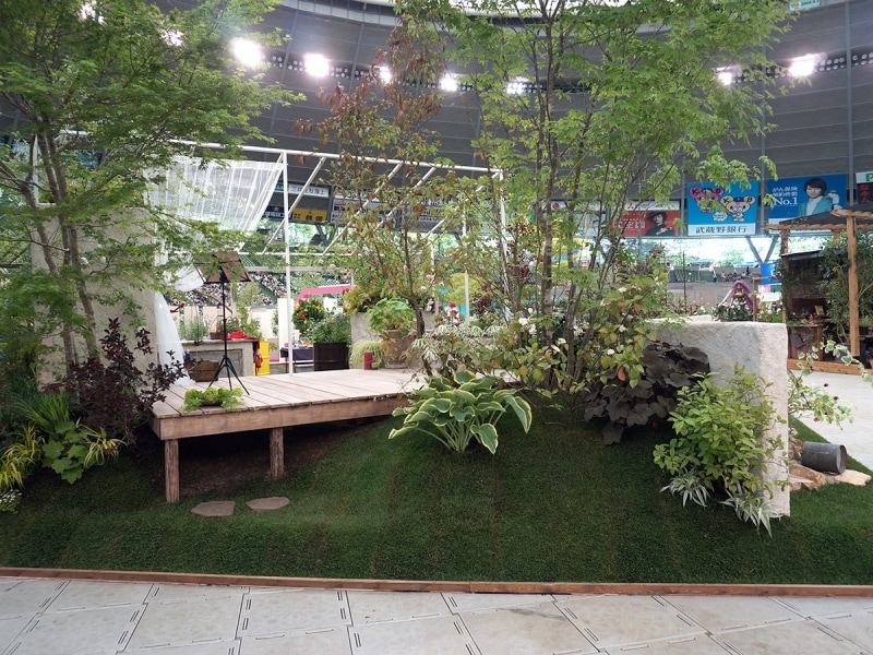 レミ・アン・ローズ