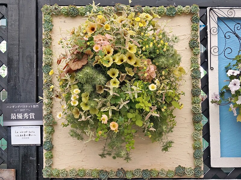 背景フレームに多肉を使った壁掛けタイプ