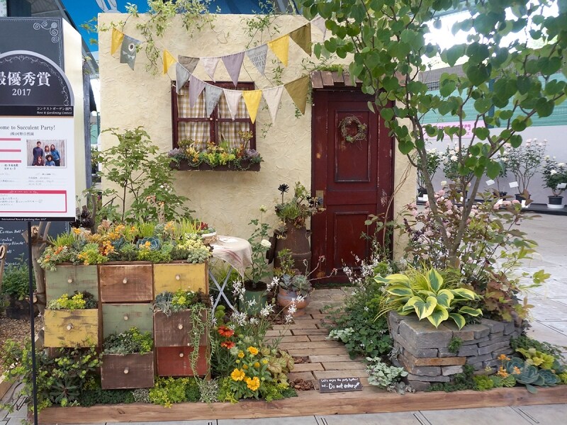 「Welcome to Succulent Party!」