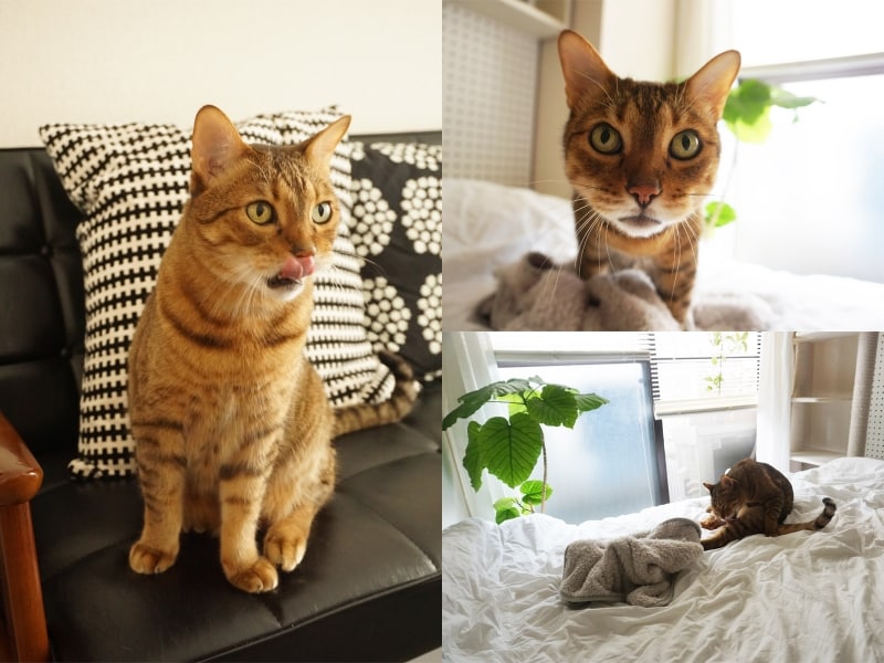 一人暮らしの部屋