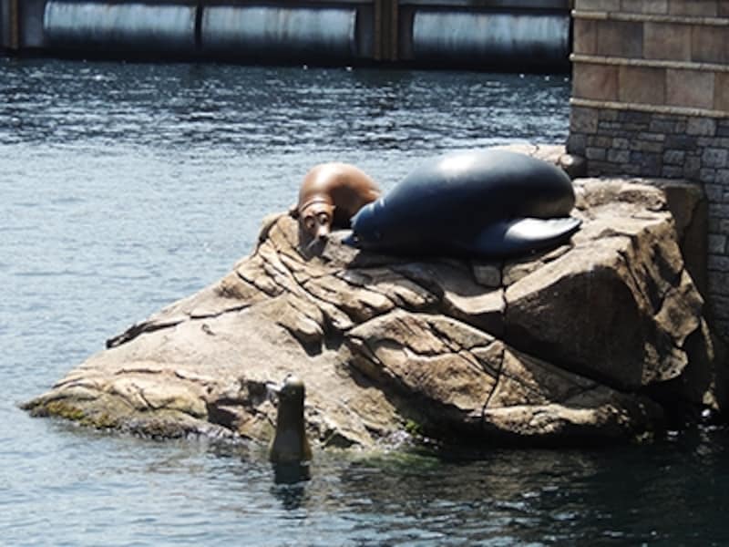 デコレーション