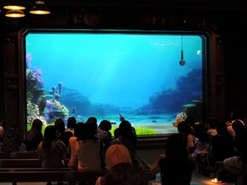 タートル・トーク