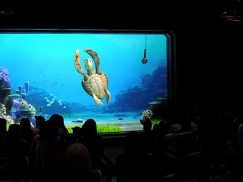 タートル・トーク