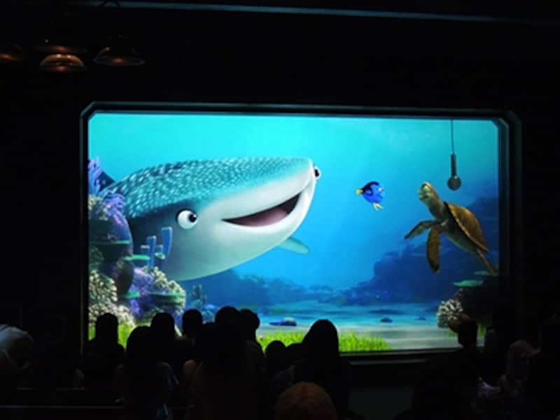 タートル・トーク