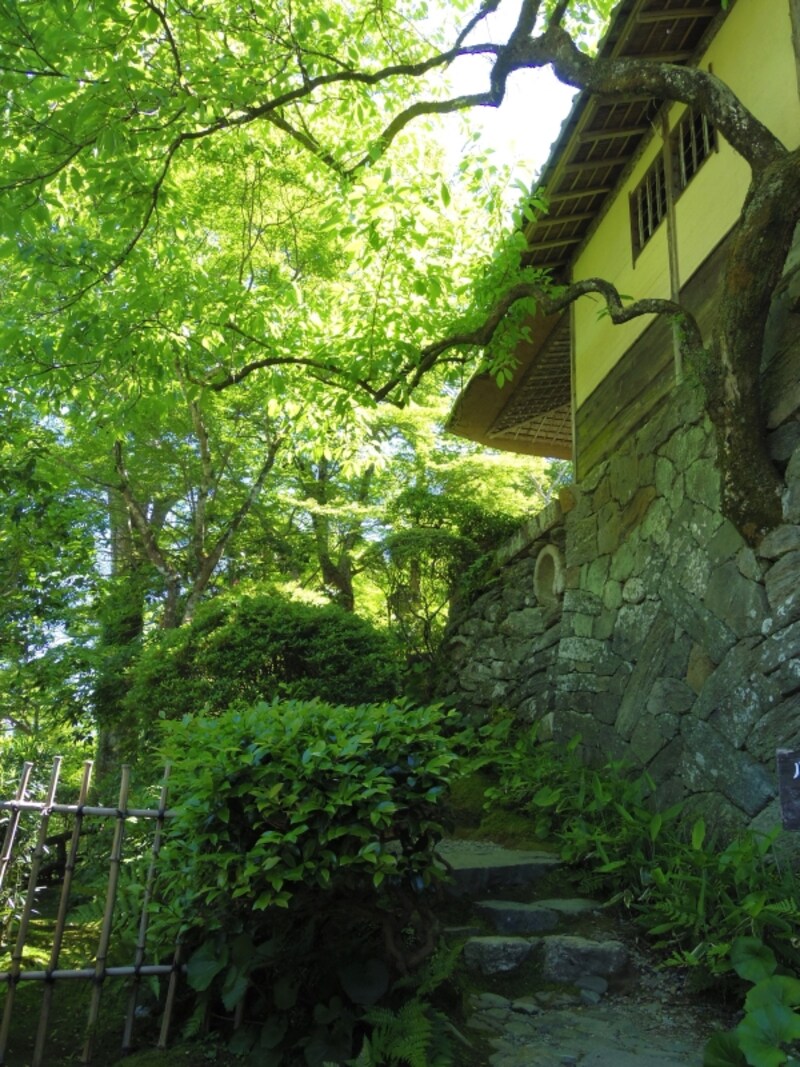 臥龍山荘の石垣