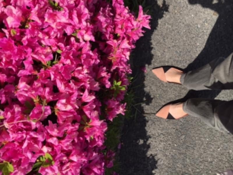 カラーブロックでも履けば馴染む配色なので目立ちすぎない