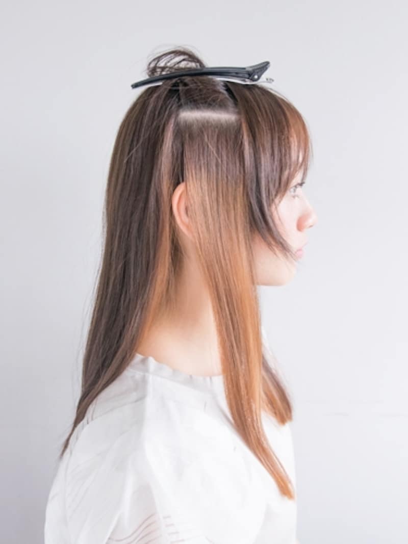 ハチのラインで上下に分ける