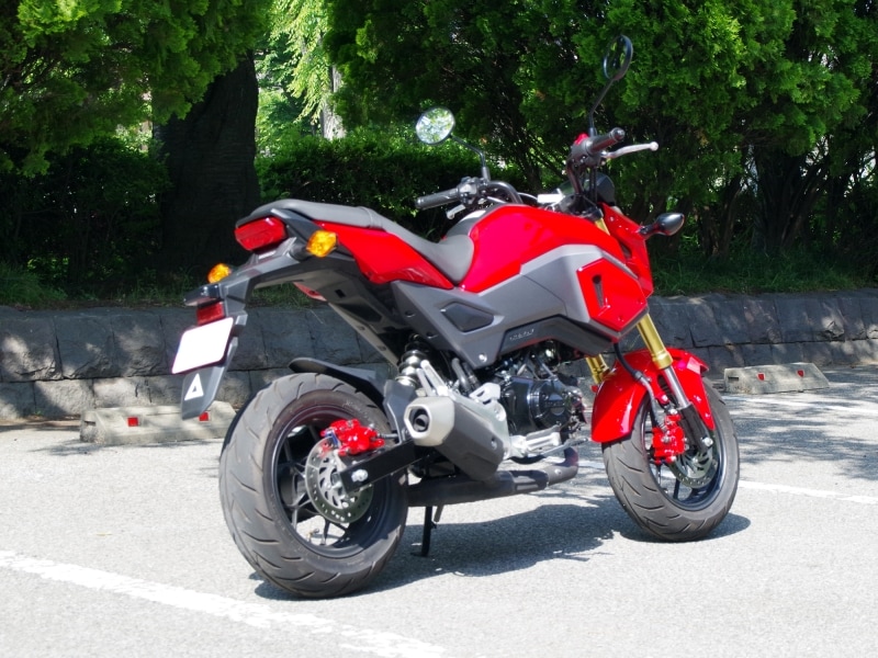 新型グロムリアビュー