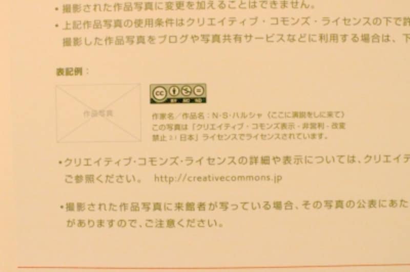 美術館で写真撮影 Snsにアップしてもok 著作権は インターネットサービス All About
