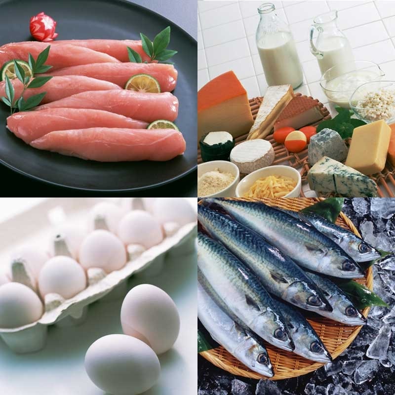 動物性たんぱく質