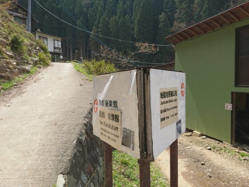 地獄谷野猿公苑(9)