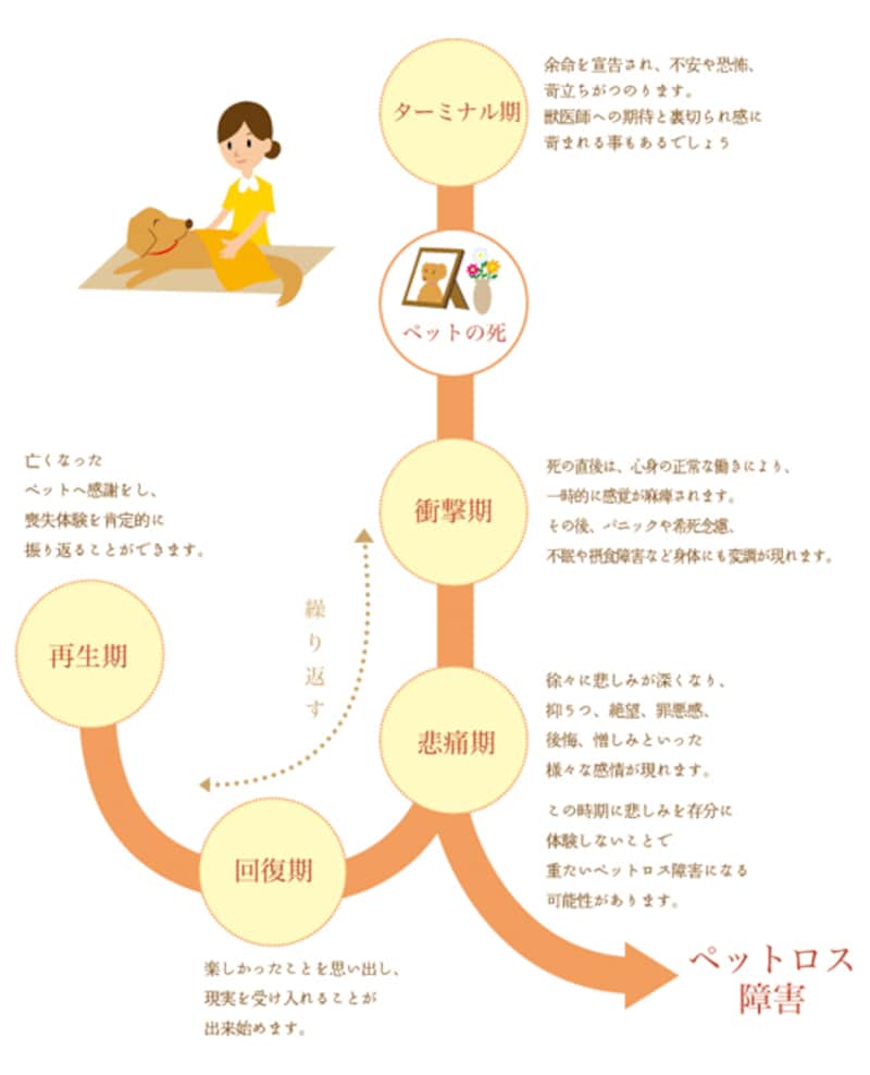 ペットロスプロセス解説画像