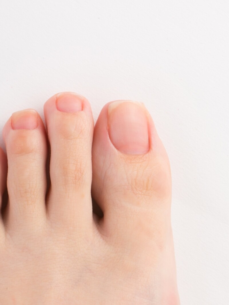 スクエアオフにカットした状態