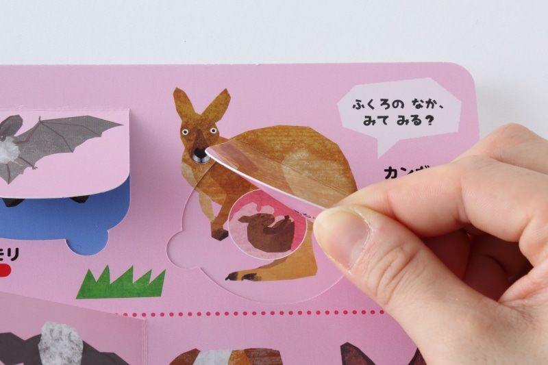 『いきもの』しかけまど