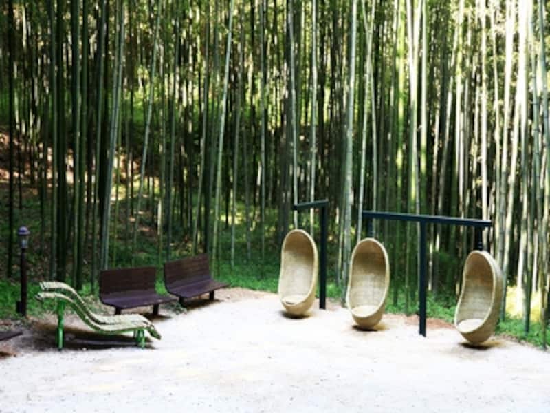 竹林の中でちょっと休息。ところどころに竹製のベンチやブランコがあったりするのも面白い(c)潭陽郡