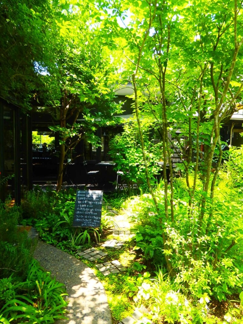 緑の小道にいざなわれて…カフェkaeruのお庭