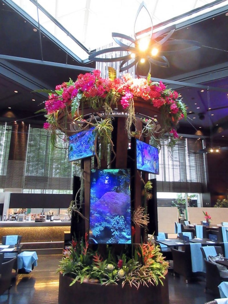 品川プリンスホテル ハプナの滝