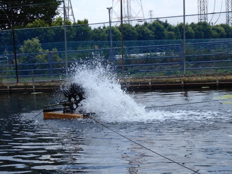なまずの養殖池で空気を送り込む水車