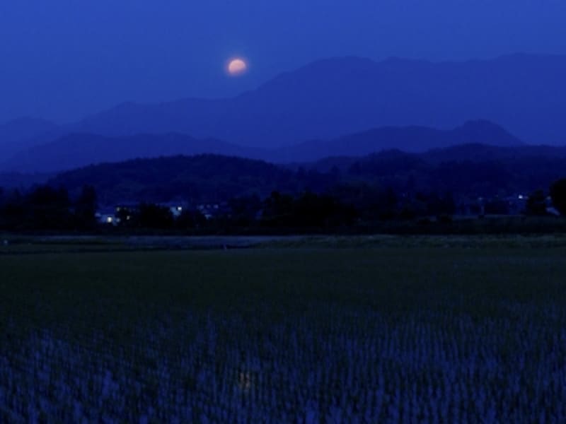 部分月食の風景