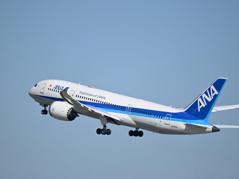 ANA,飛行機