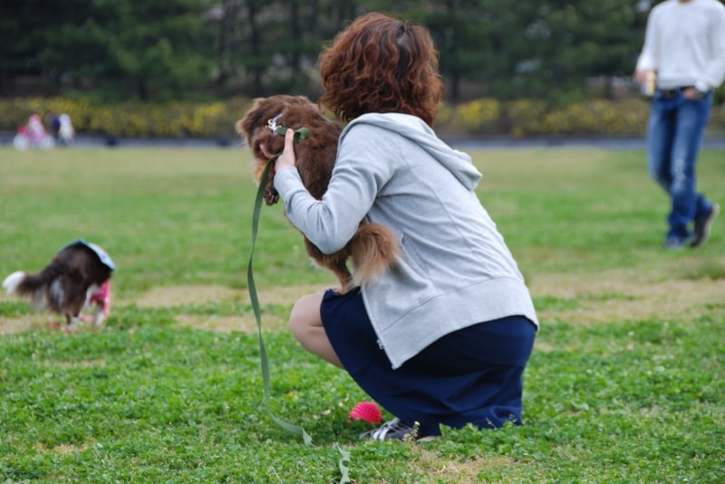ヒート中は周囲へも配慮が大切☆