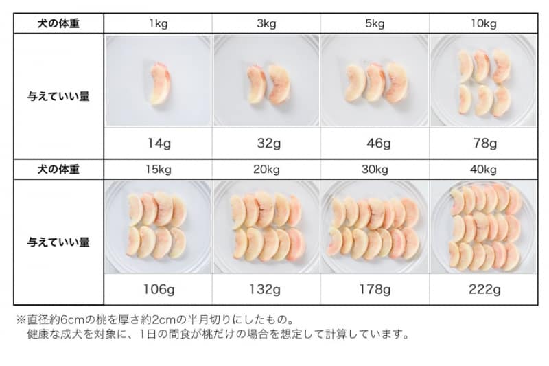 犬undefined桃undefined食べて良いundefined量undefined病気undefined薬undefined食べ合わせ