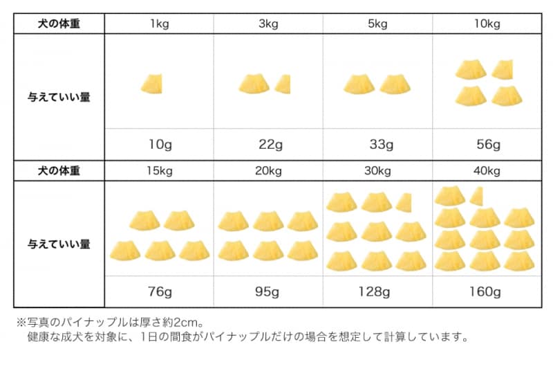 犬undefinedパイナップルundefined食べて良いundefined量undefined病気undefined薬undefined食べ合わせ