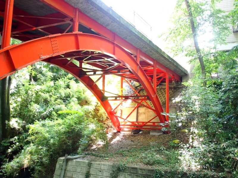 日差しの違いがよくわかる