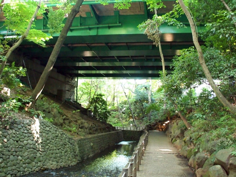 ここから環八へあがる