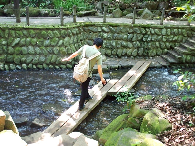 せせらぎを聴きながら歩いてみよう