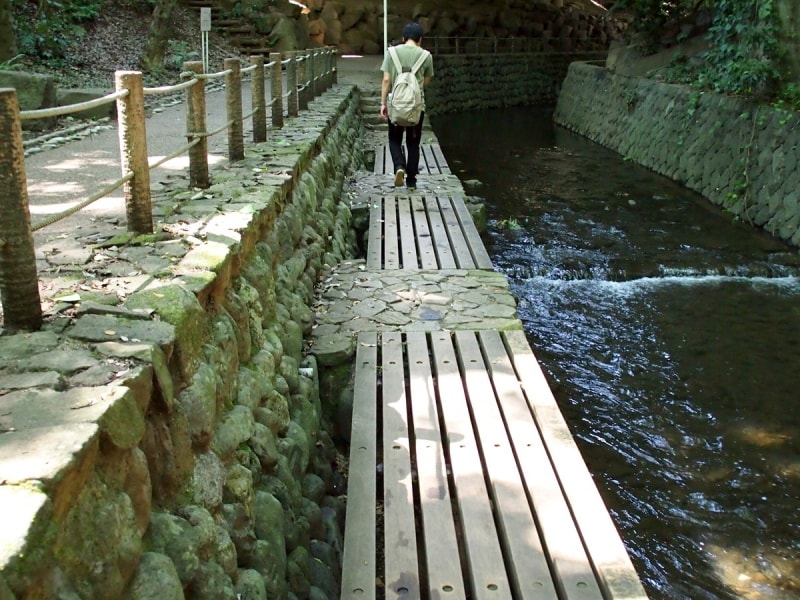 涼を感じながら歩ける