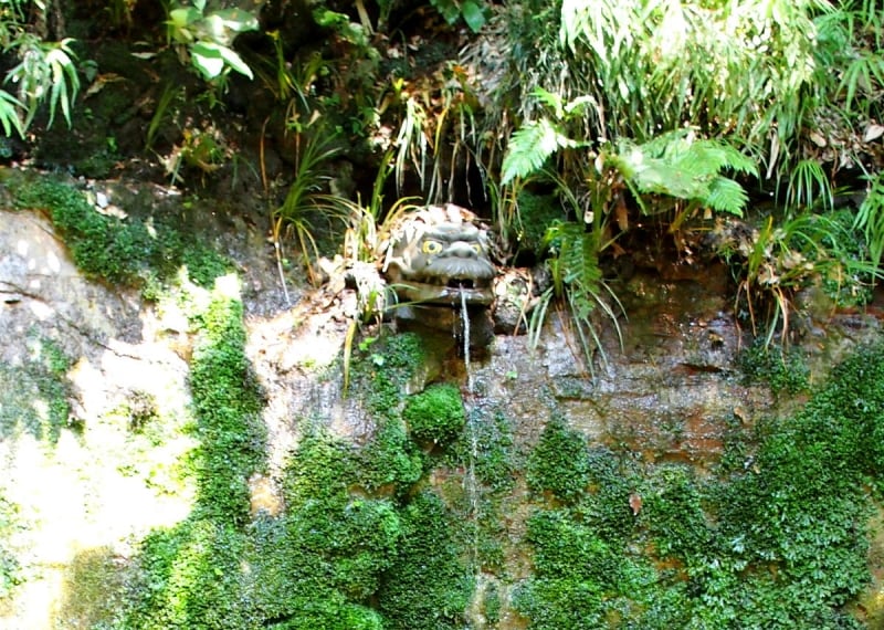 口かわ湧水が出ている
