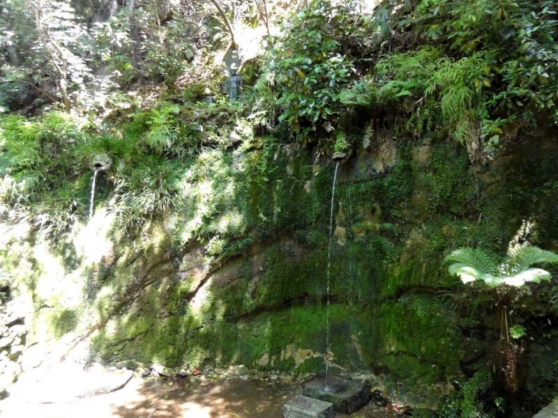 龍の口から水が落ちている