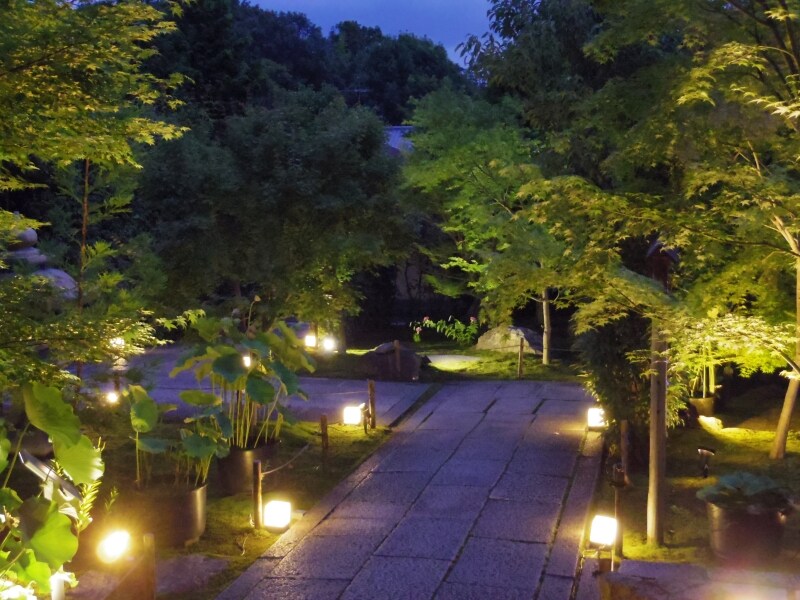 ライトアップされた庭園