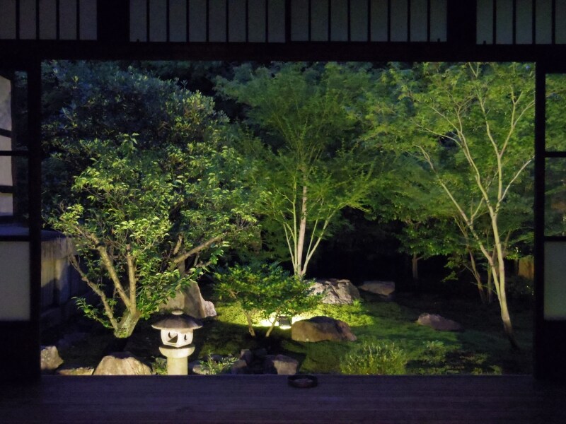 ライトアップされた庭園