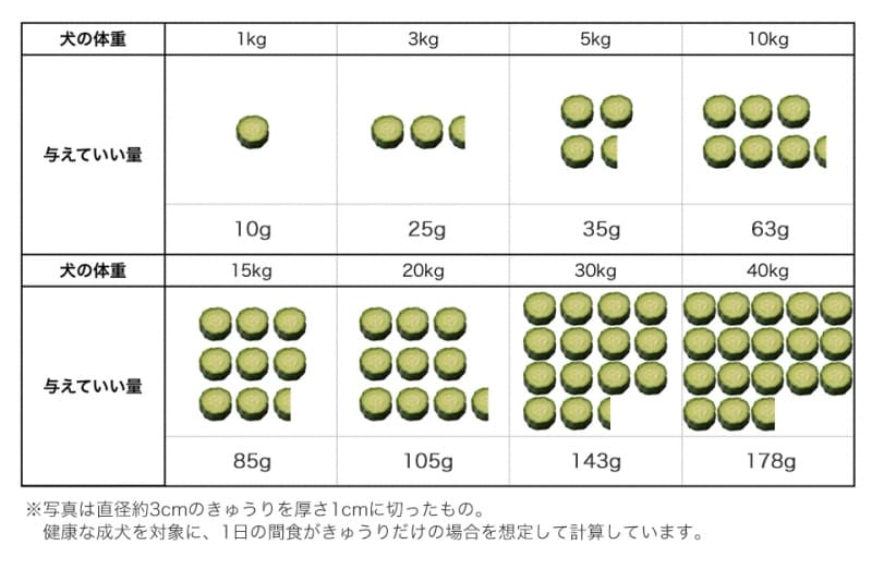 犬　きゅうり　食べて良い　量　病気　薬　食べ合わせ