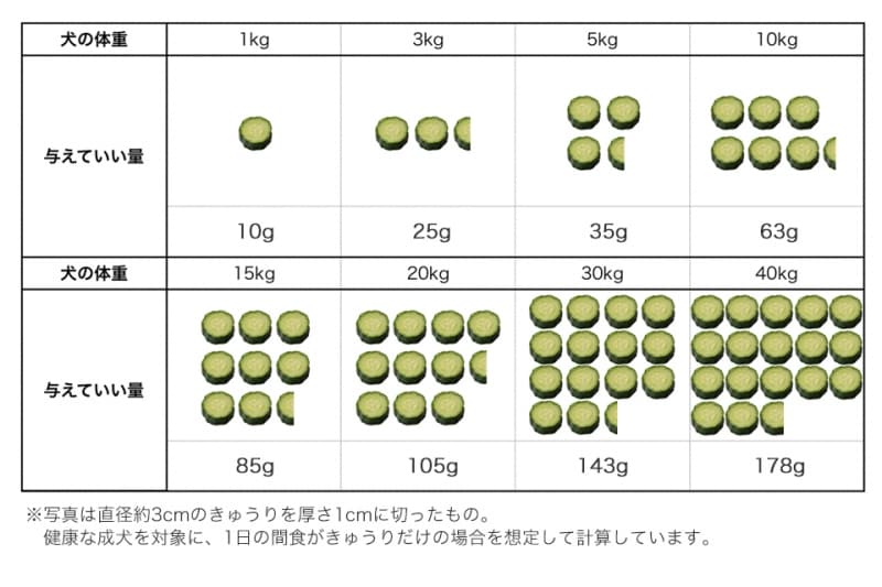 犬undefinedきゅうりundefined食べて良いundefined量undefined病気undefined薬undefined食べ合わせ