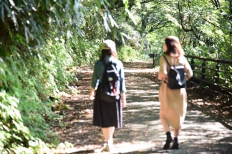 森林浴を楽しみながら、のんびり歩くことに